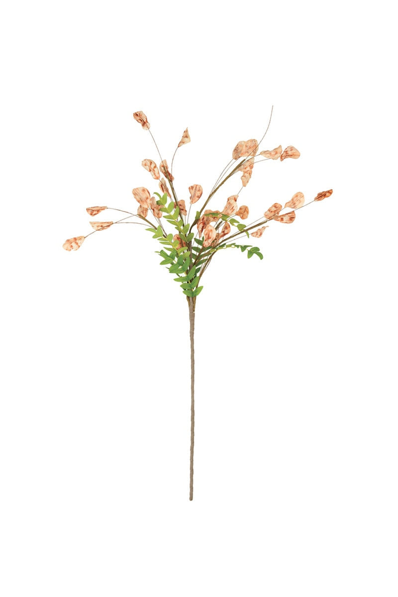 Botanica #3576
