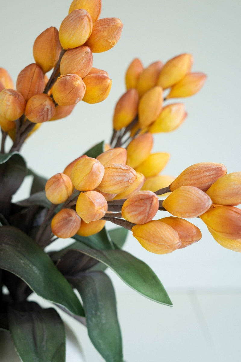 Botanica #3577