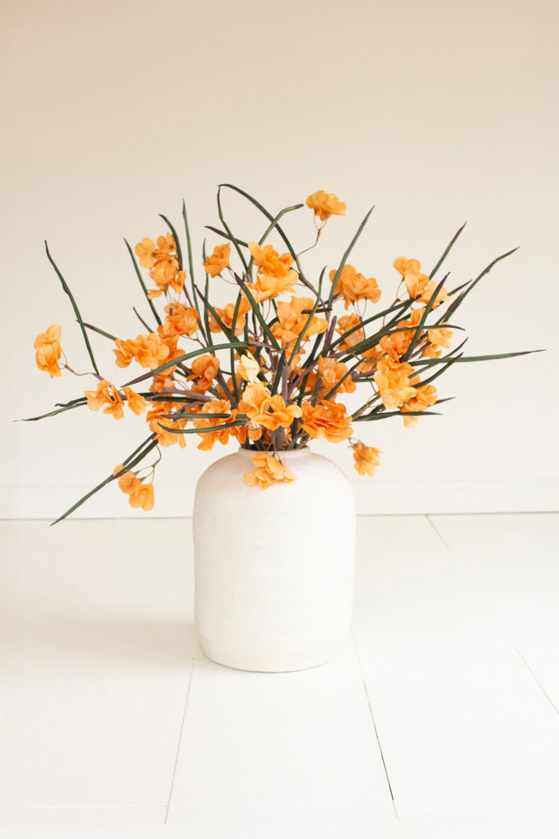 Botanica #3585