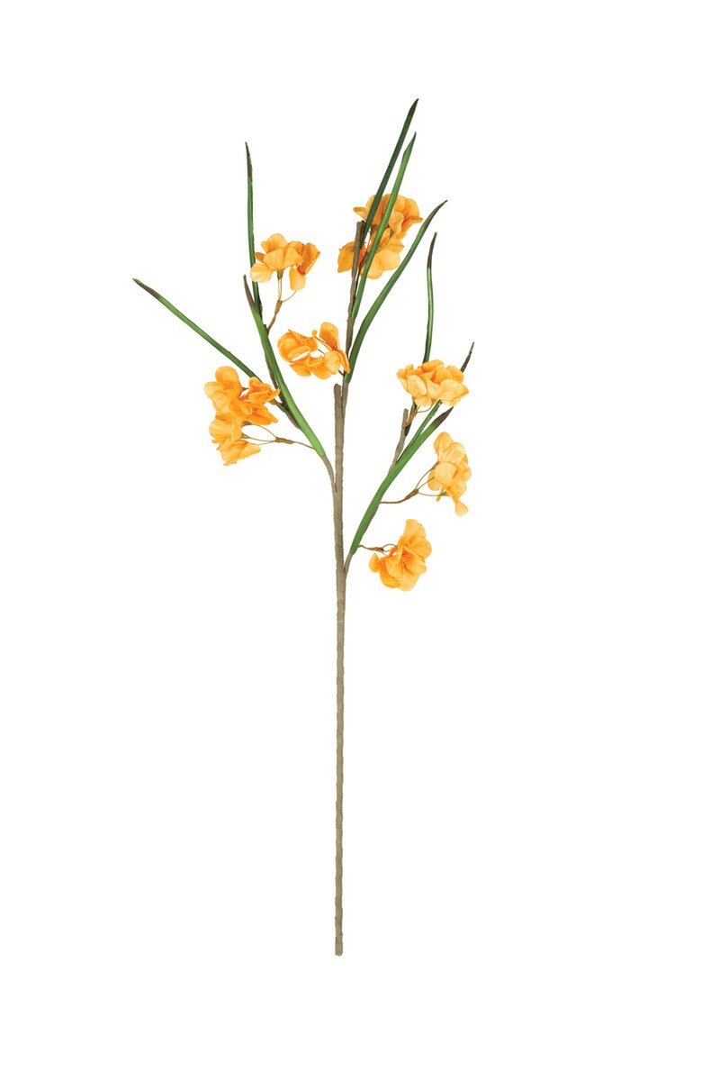 Botanica #3585