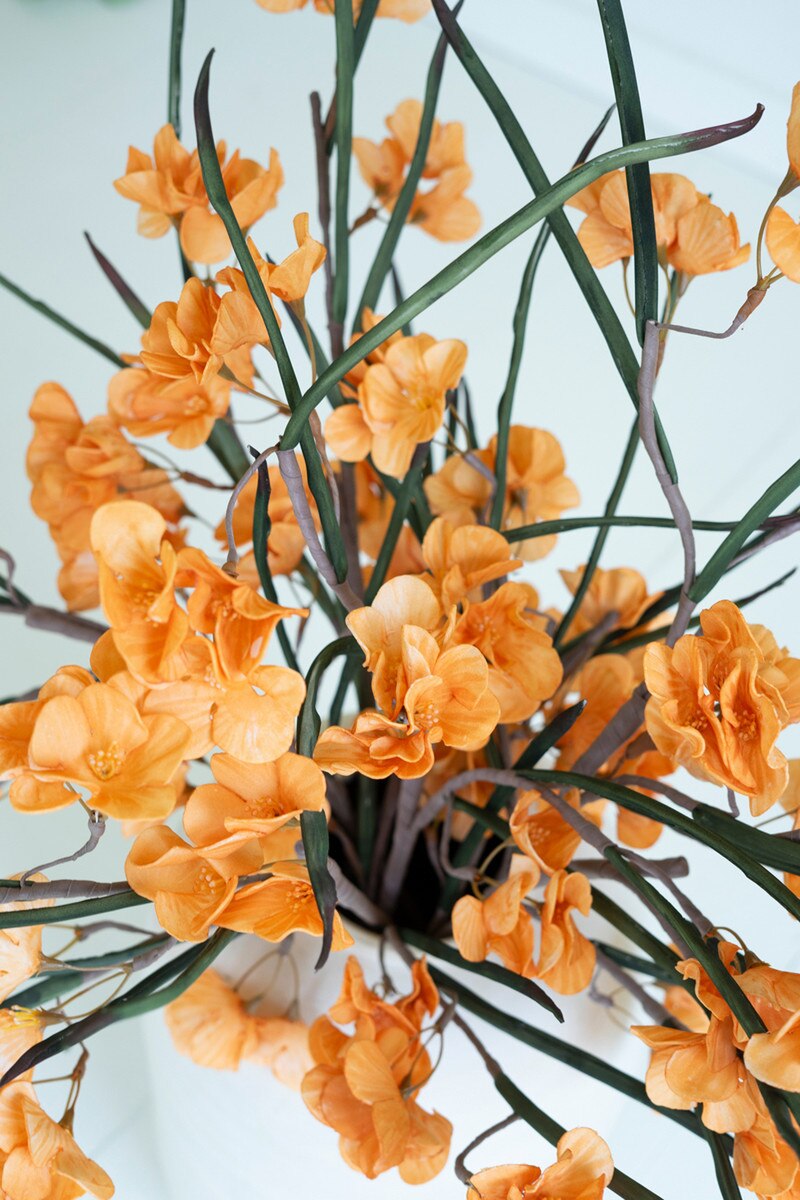 Botanica #3585