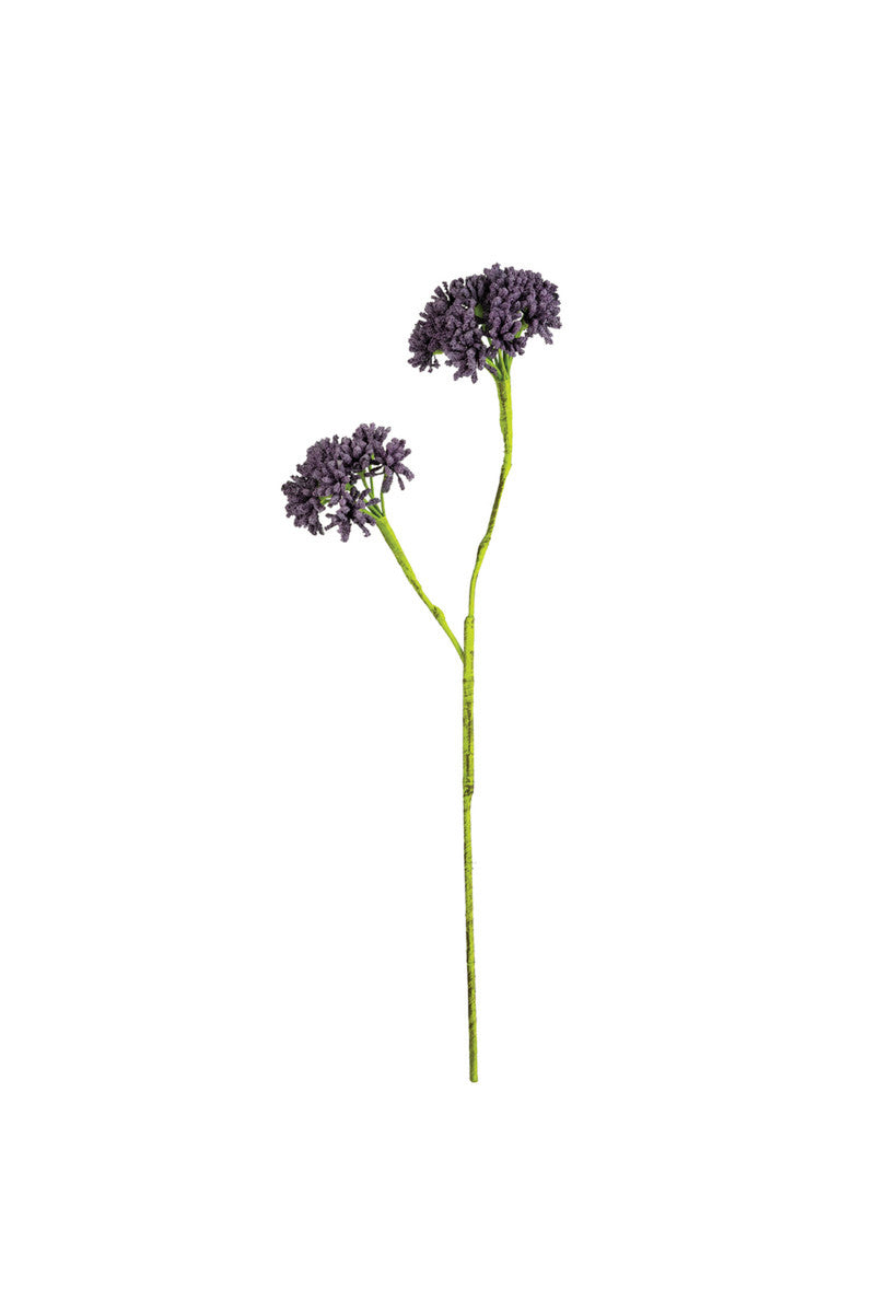 Botanica #2710