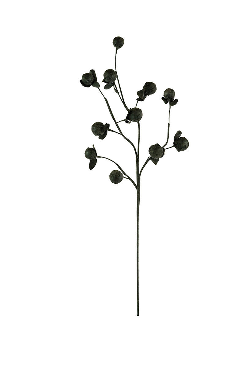 Botanica #2720