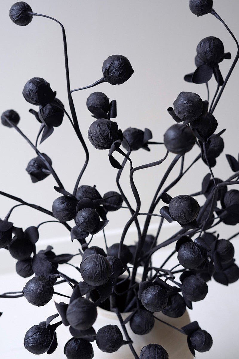 Botanica #2720