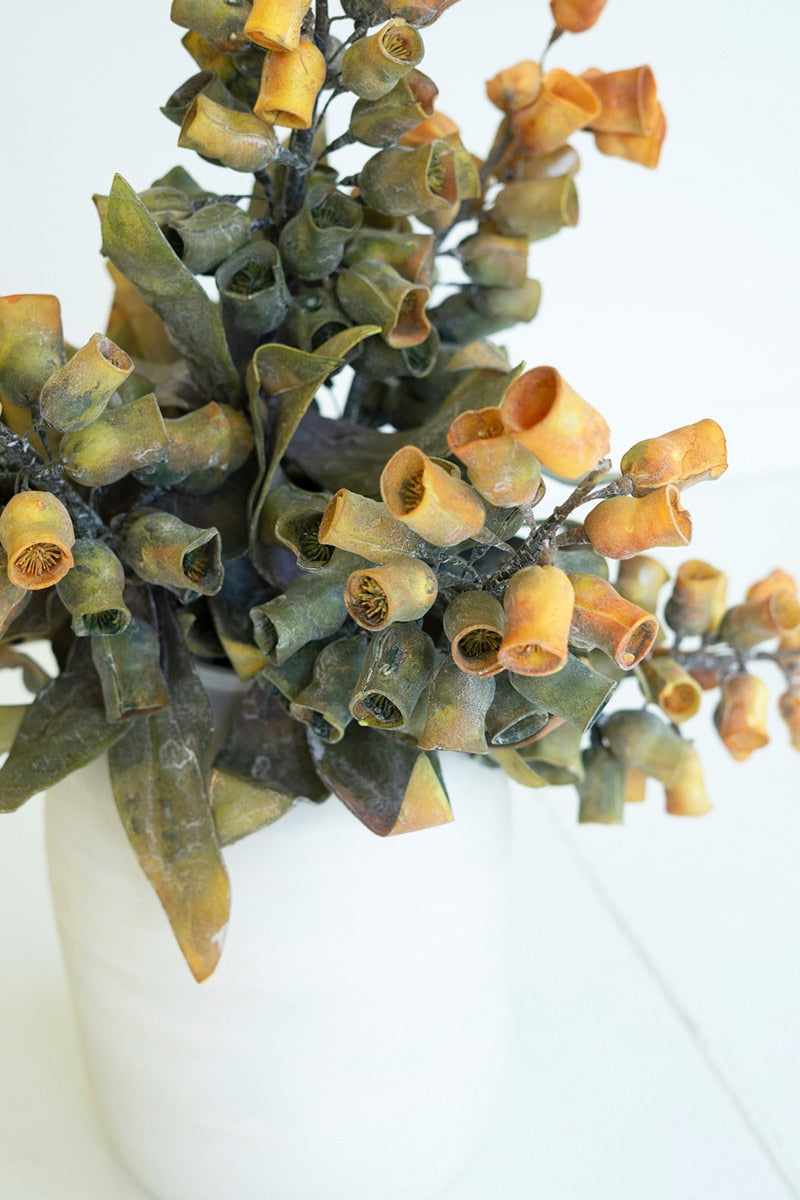 Botanica #2776