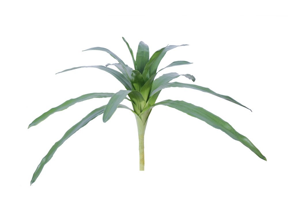 Bromliad Leaves 28"
