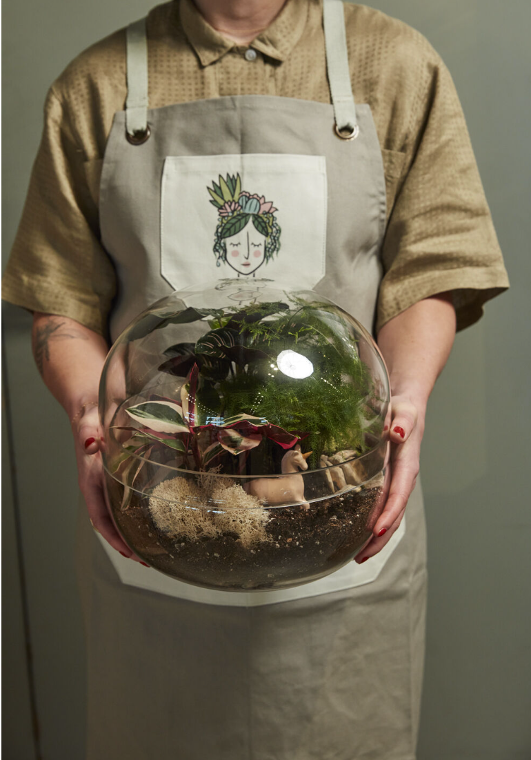 Observatory Terrarium