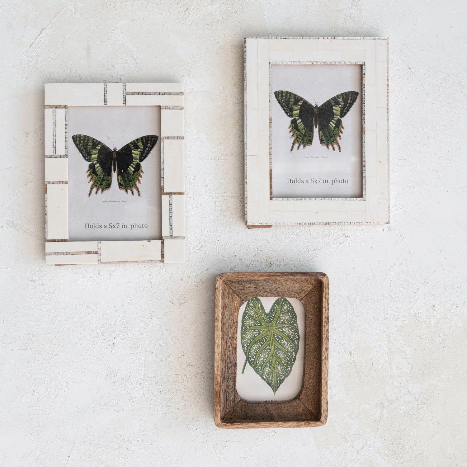 Ivory Resin 5x7" Frame with Horn Inlay