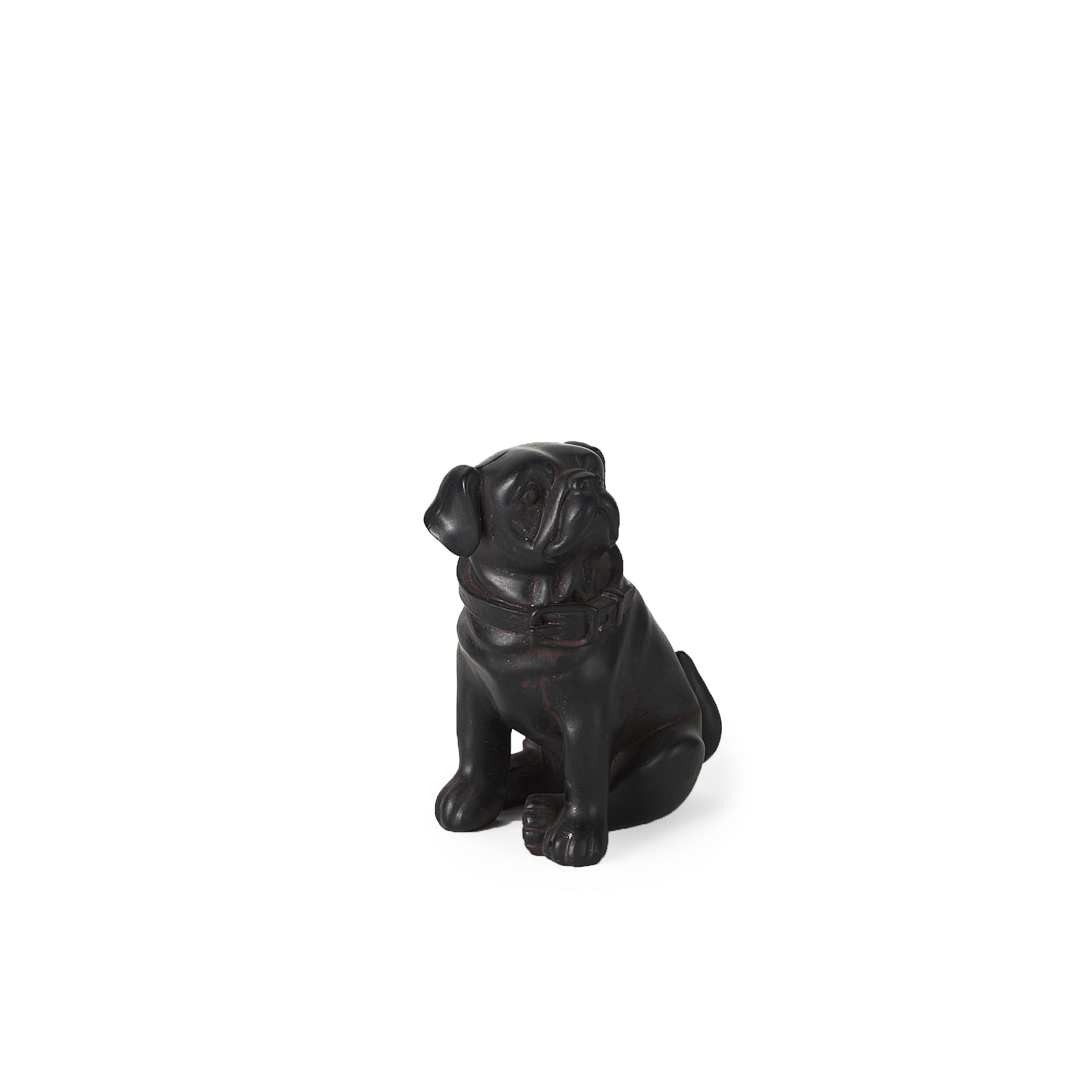 Cadence the Pug