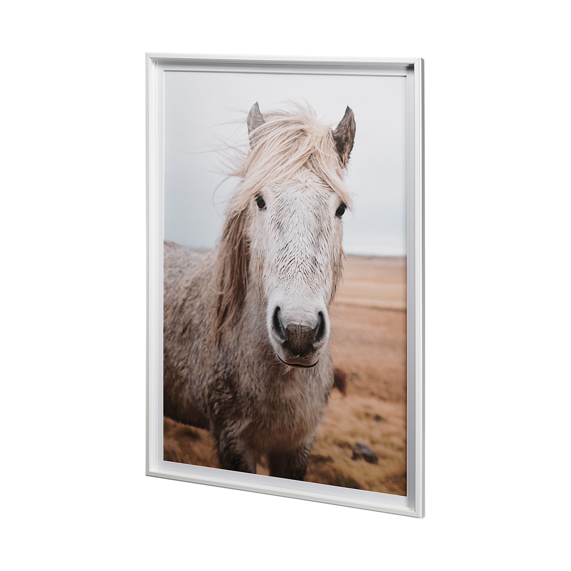 Heida Framed Art