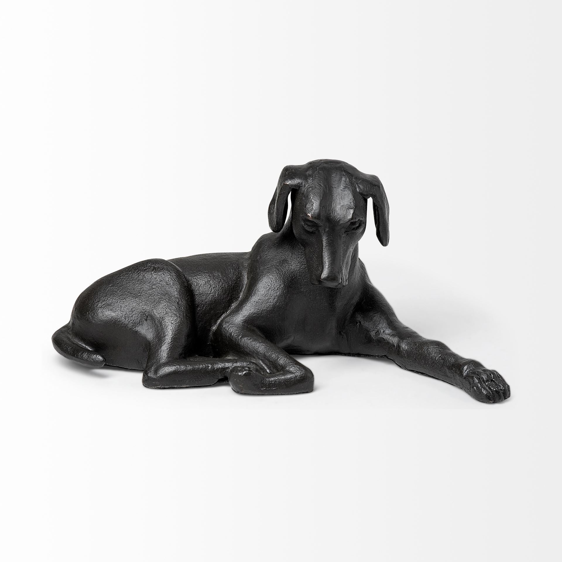 Czar the Labrador Retriever