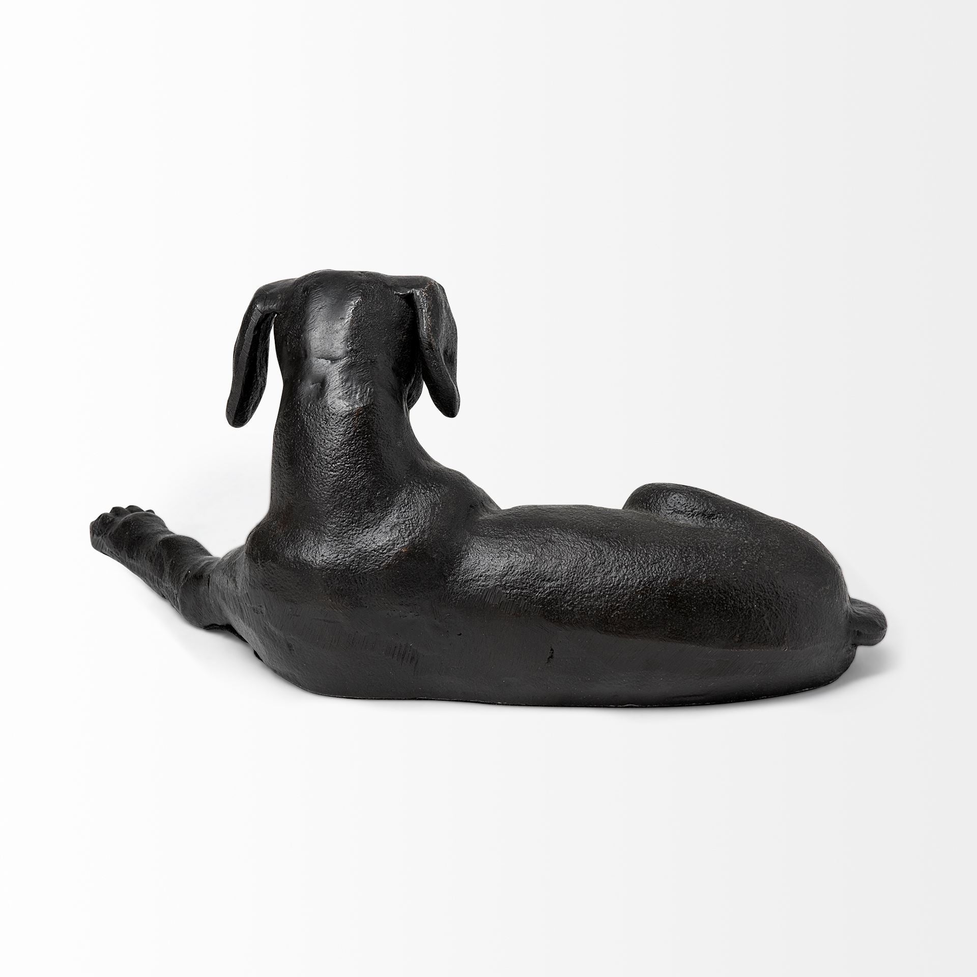 Czar the Labrador Retriever