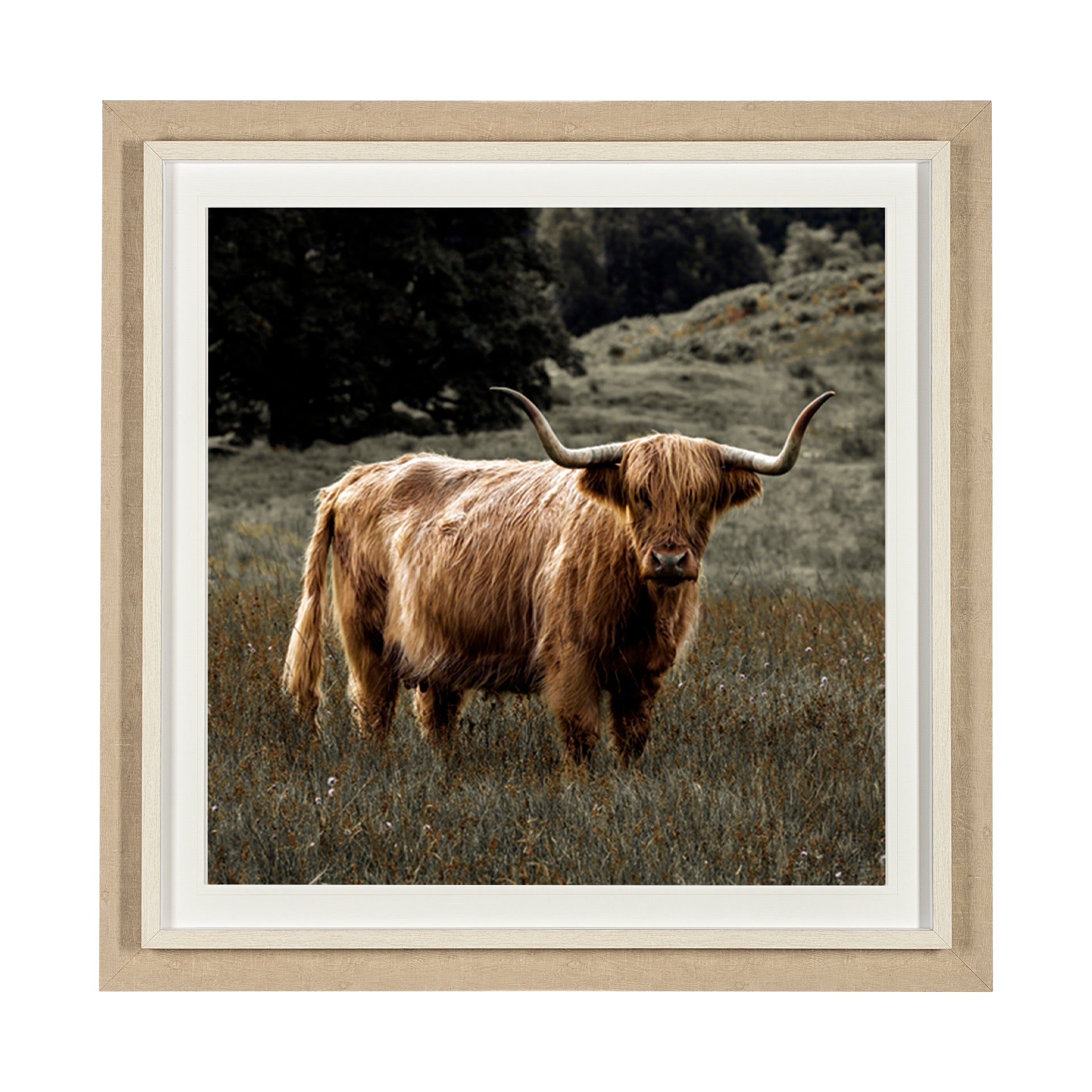 Humphry Framed Art