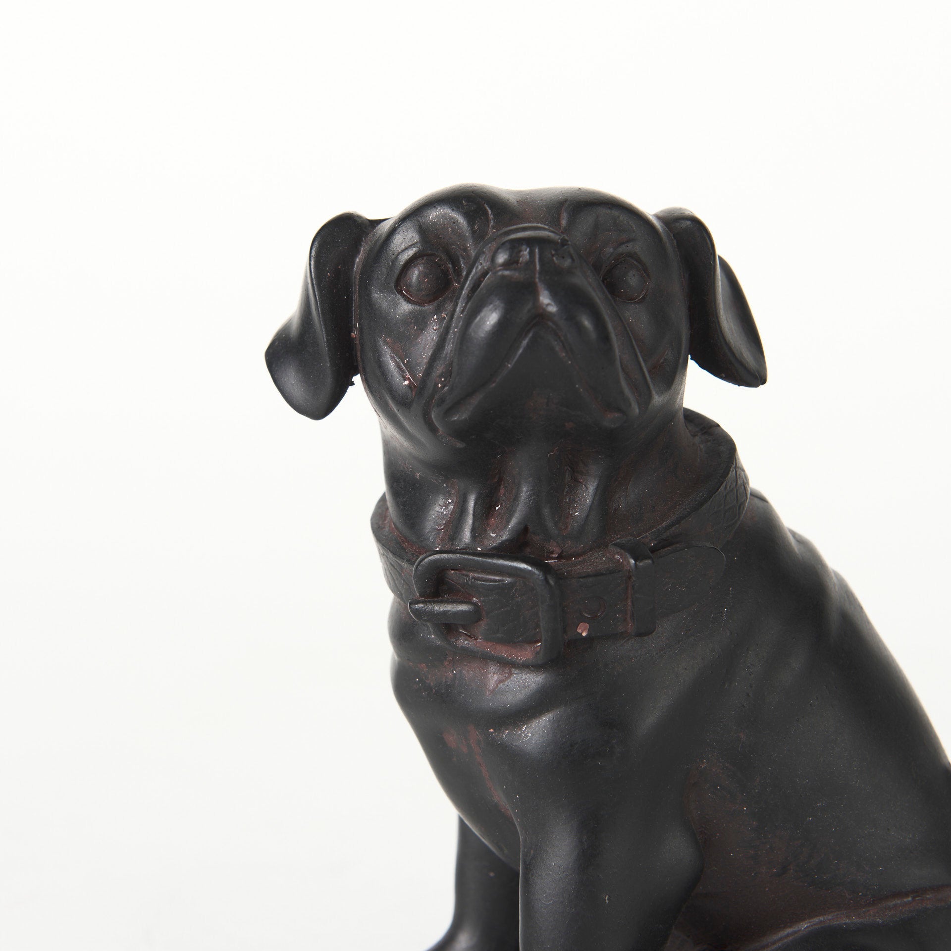 Cadence the Pug