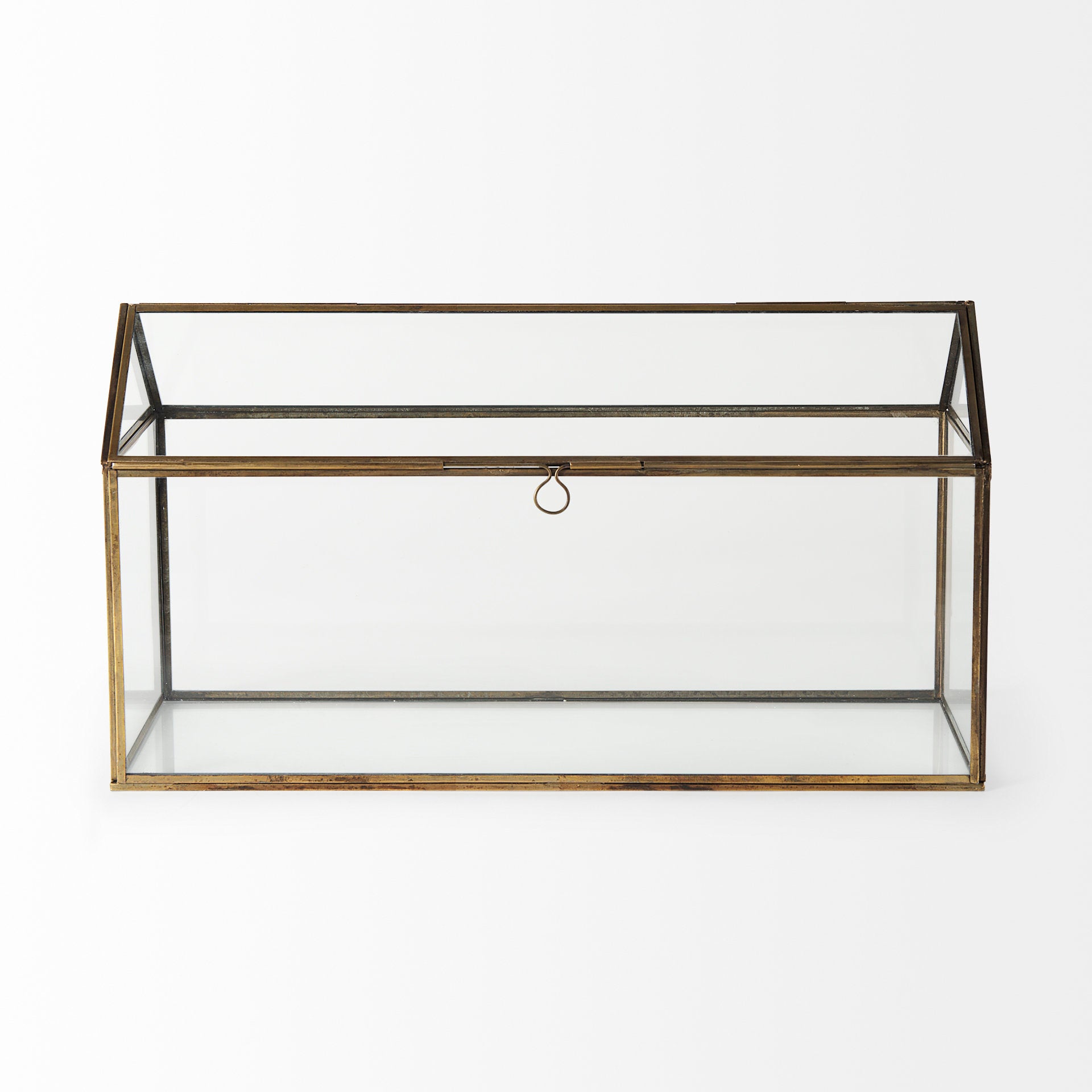 Hutt Terrarium Box