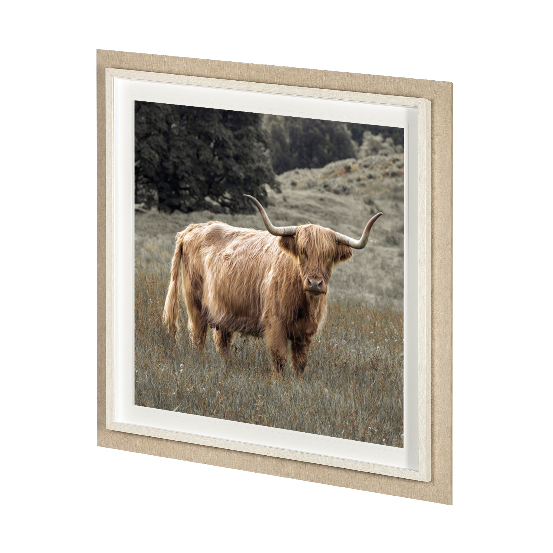 Humphry Framed Art