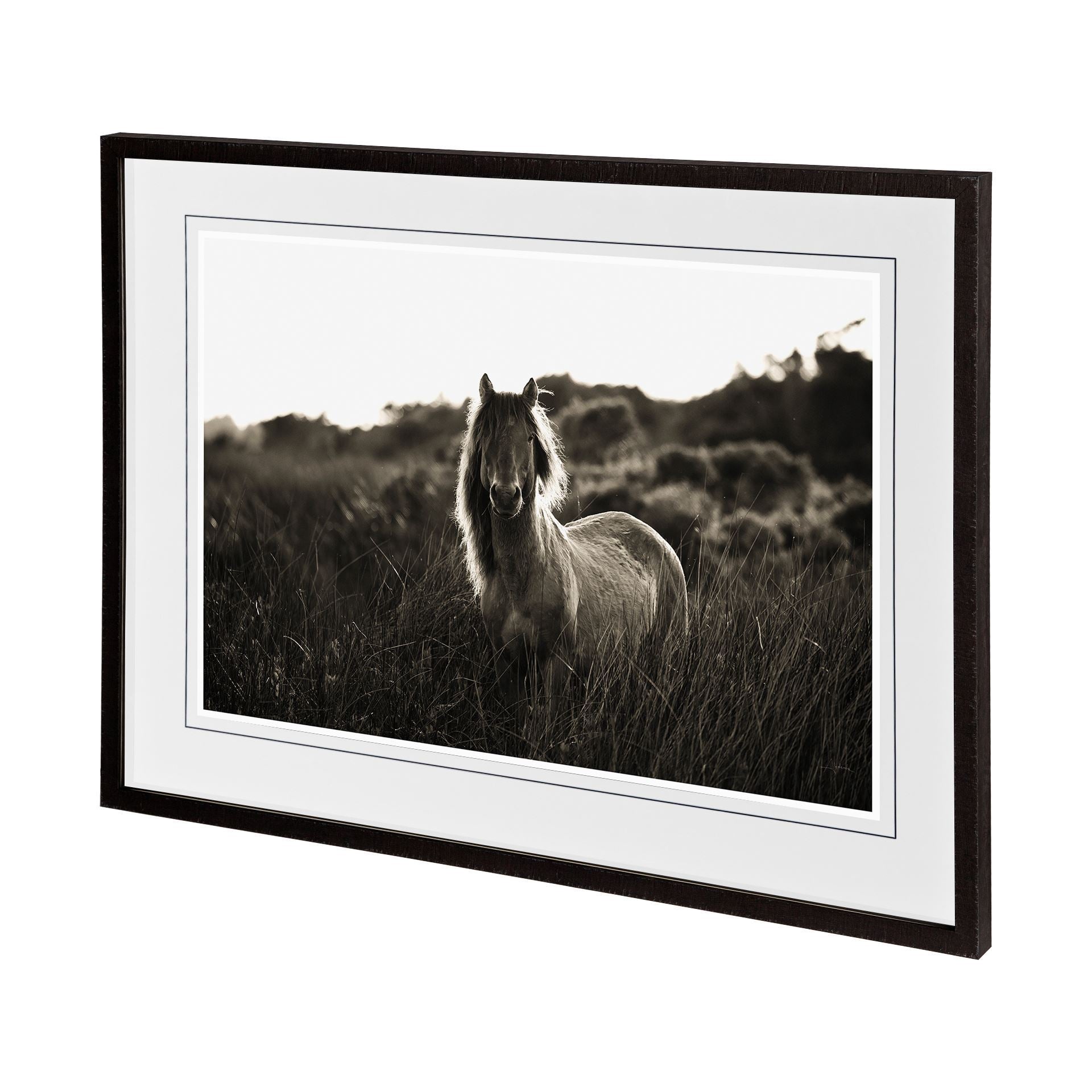 FRAMED 
