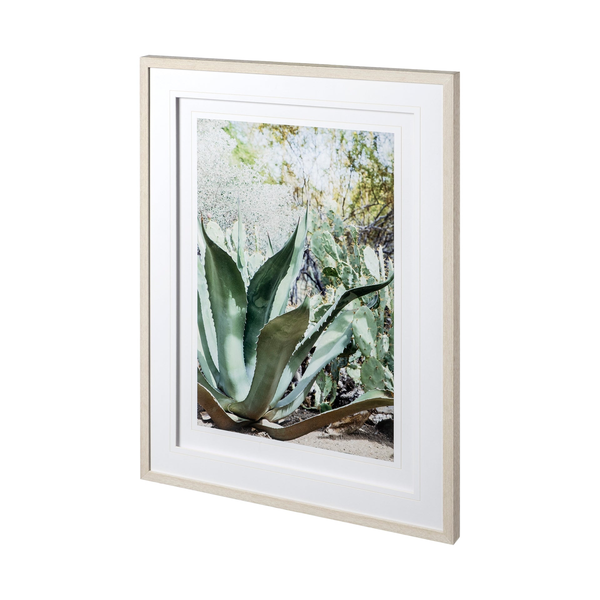 Alzira Aloe Framed Art