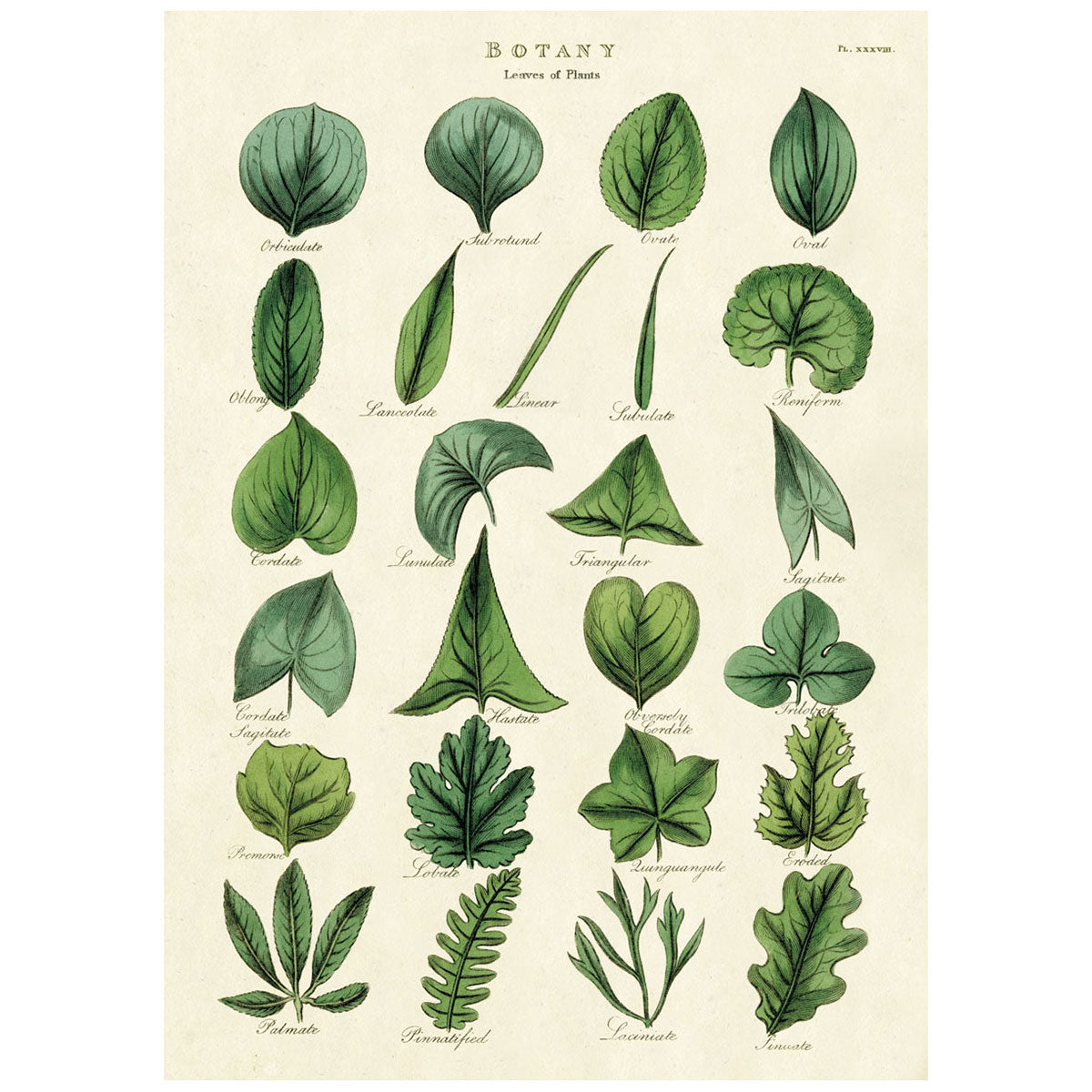 Poster Print A-L