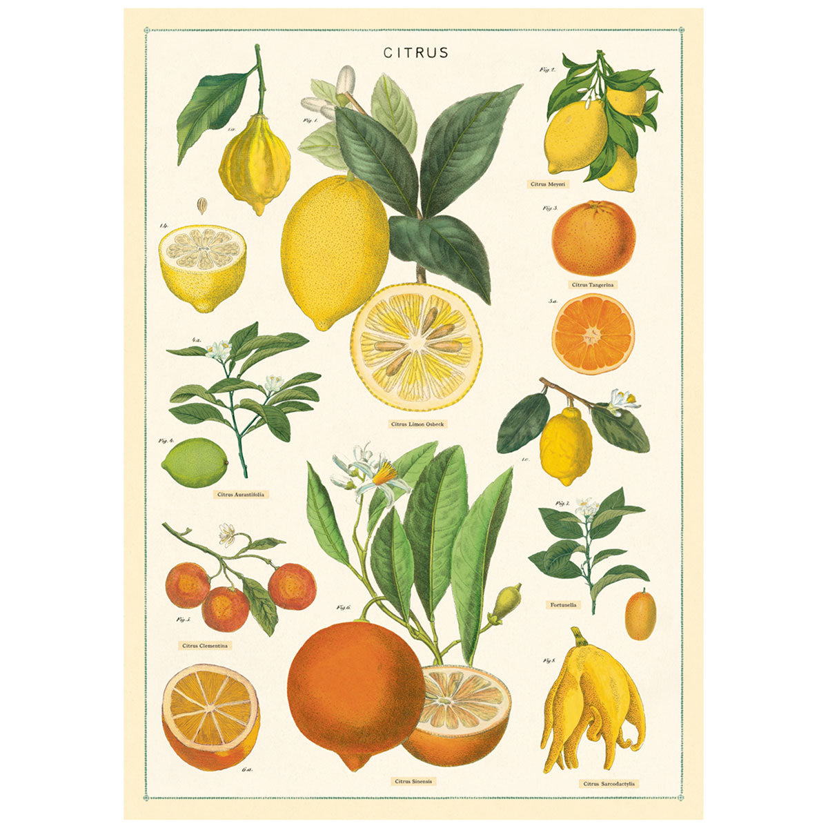 Poster Print A-L