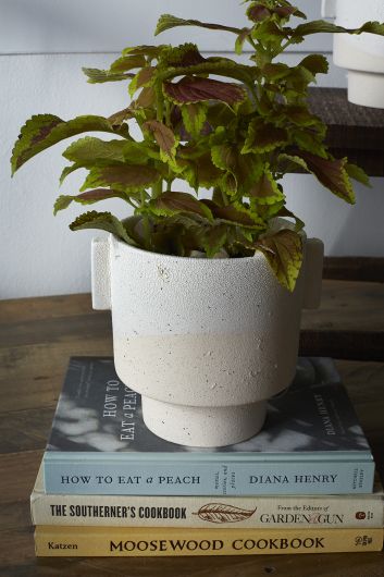 Milton Pot
