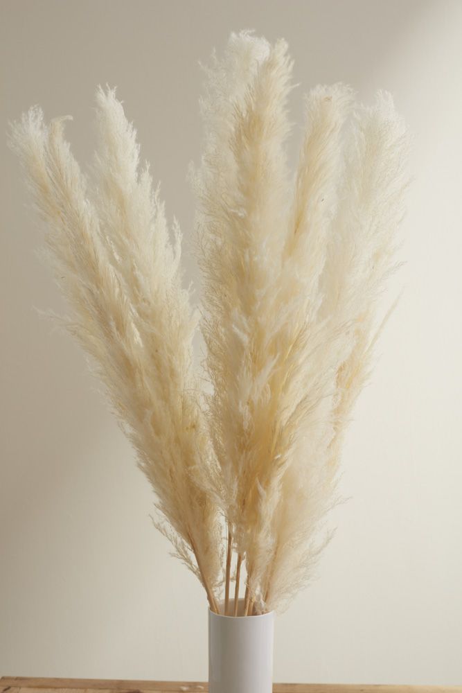 Medium