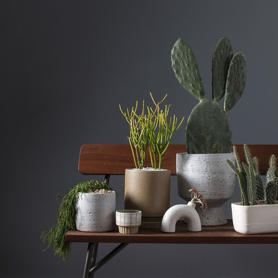 Elia Vase