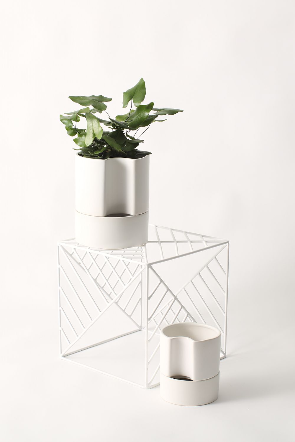 Jett Pot