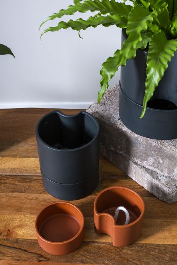 Jett Pot