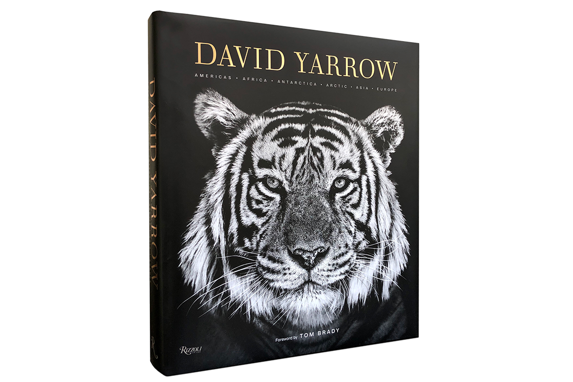 David Yarrow Photography