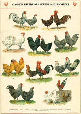 Poster Print A-L