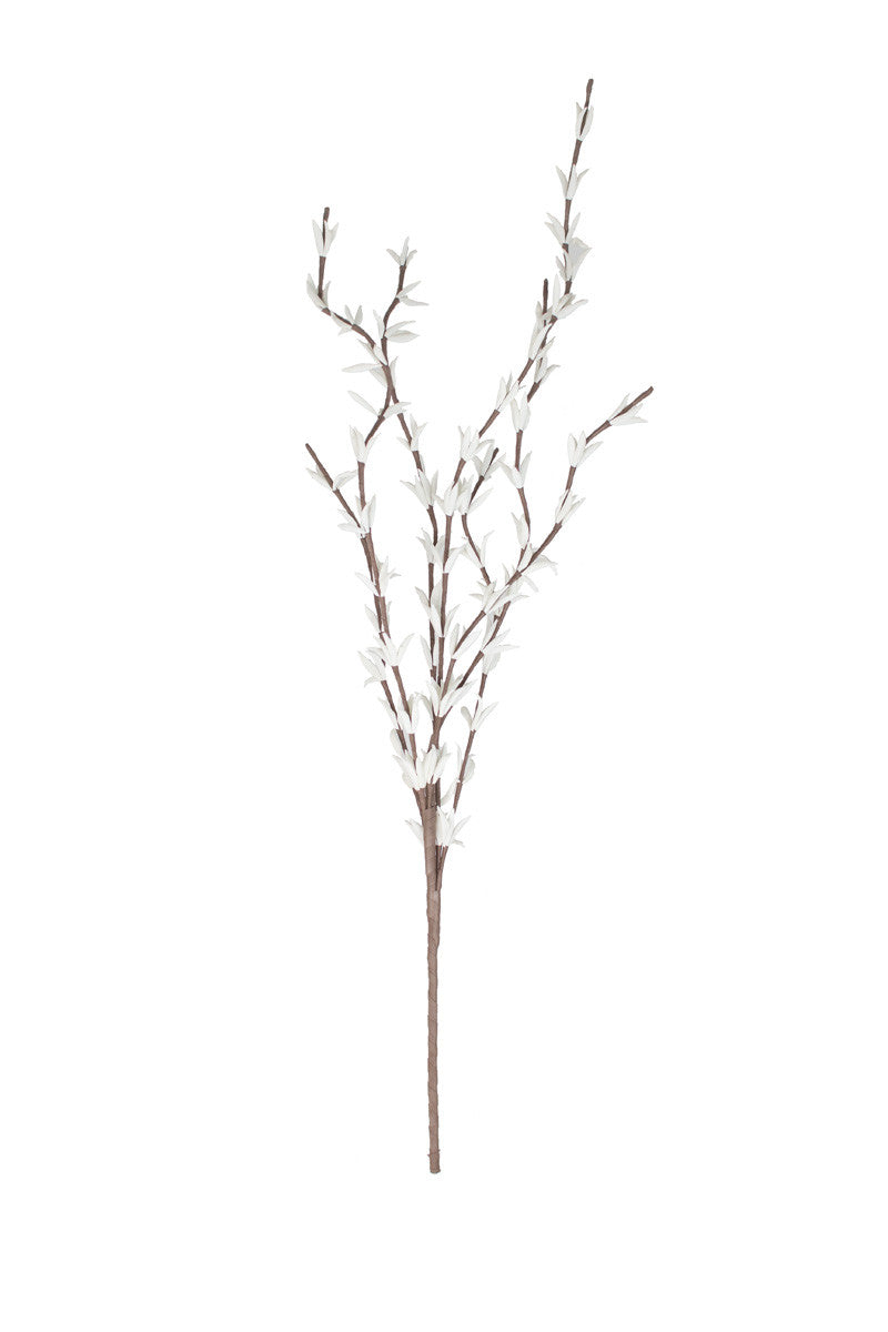 Botanica #914
