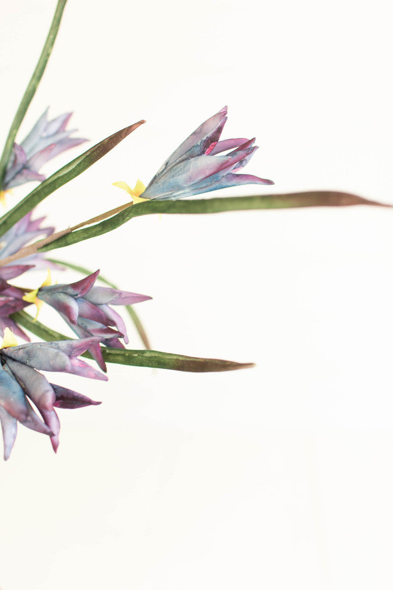 Botanica #3384