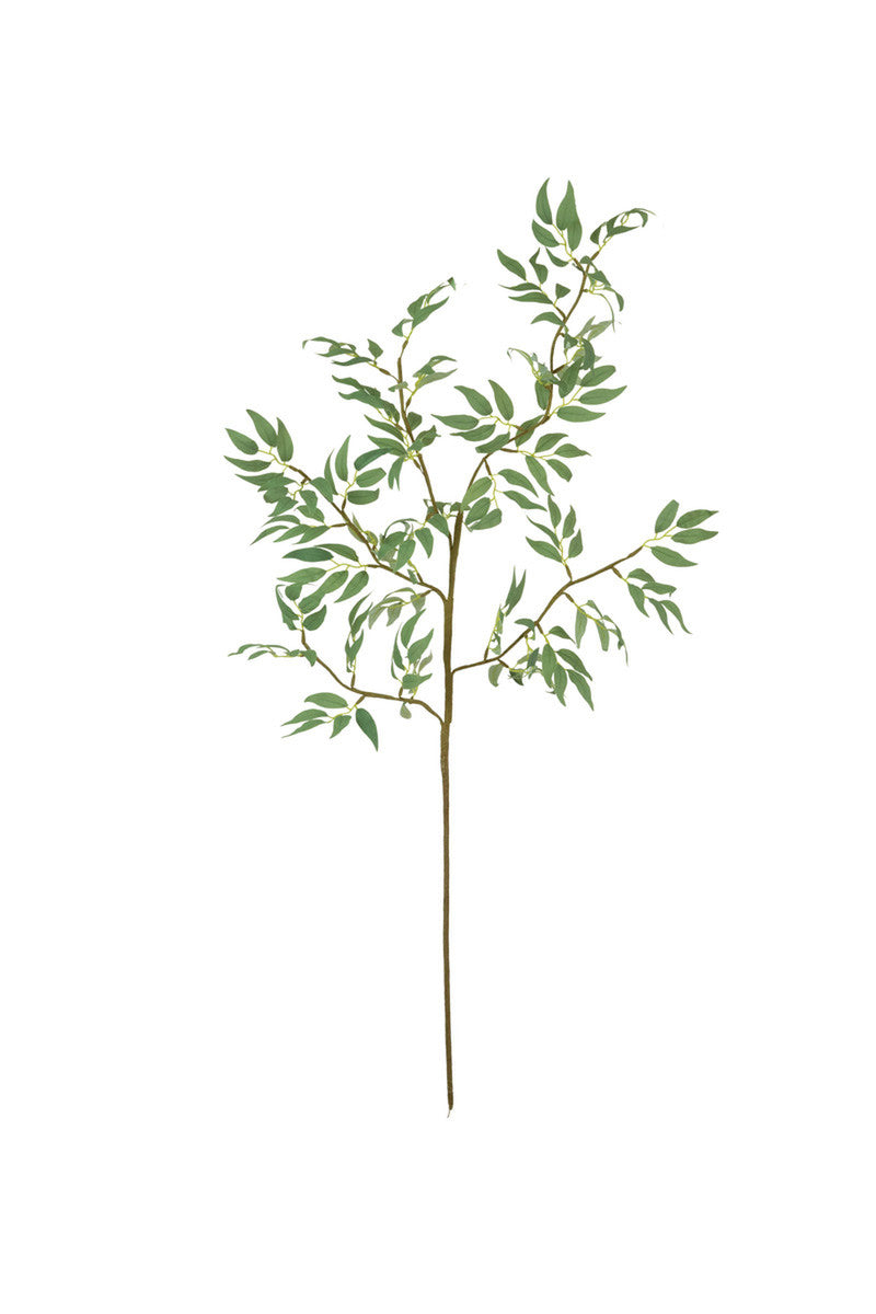 Botanica #3436