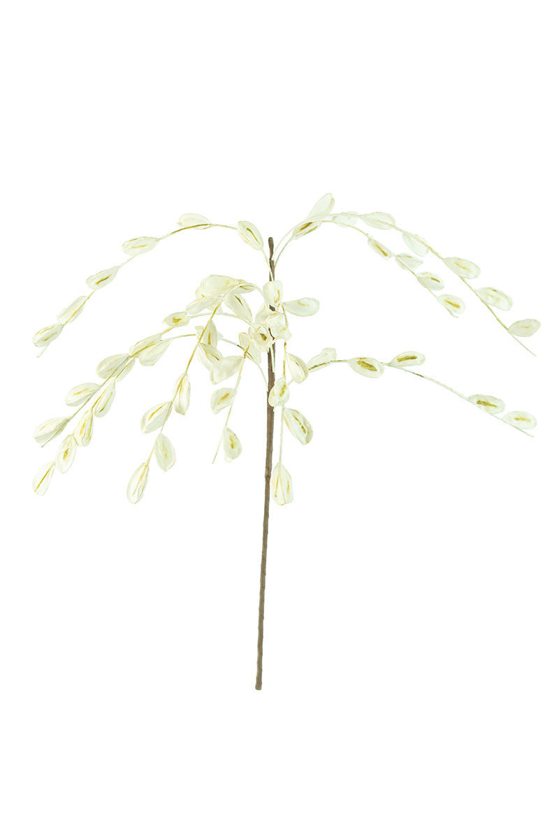 Botanica #2385
