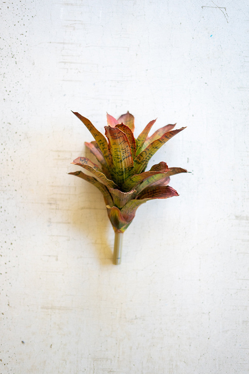 Succulent Stem 13"*