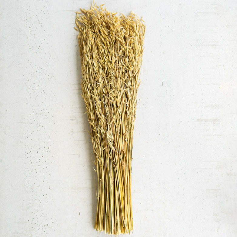 Sea Oat Bundle