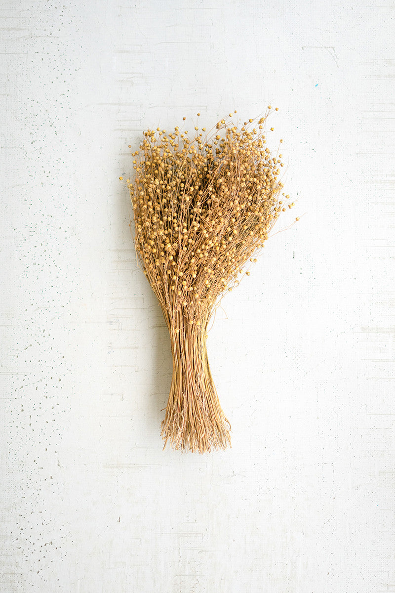 Lino Stems Bundle