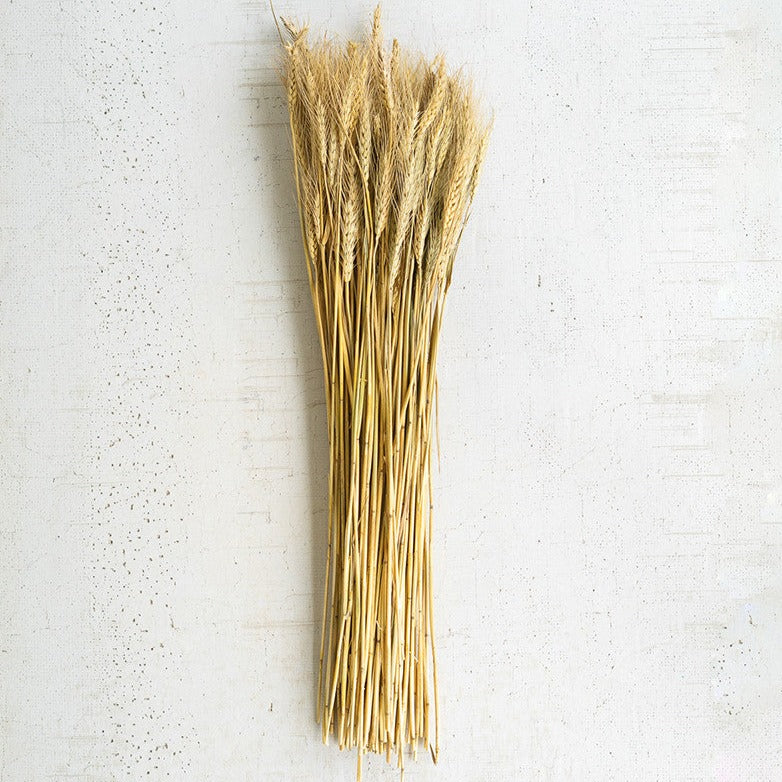 Wheat Stem Bundle