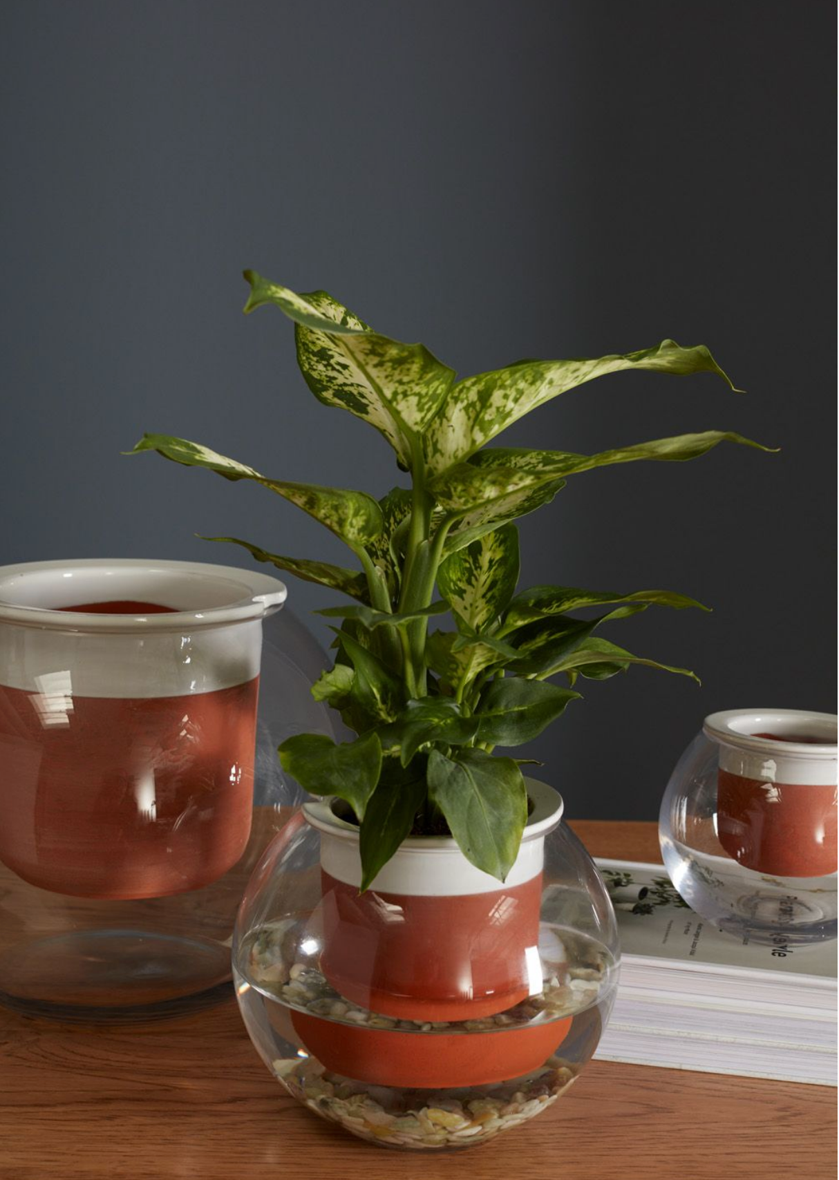 Davies Planter