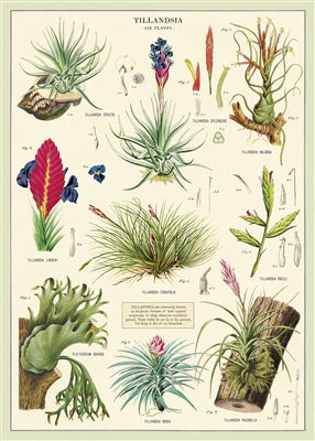 Poster Print A-L