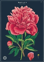 Poster Print A-L