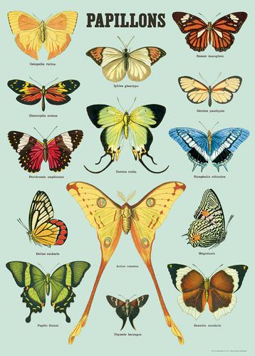 Poster Print M-Z