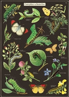Poster Print A-L