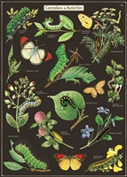 Poster Print M-Z