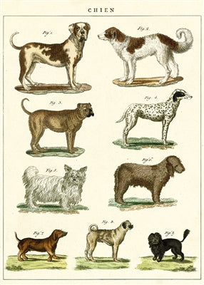 Poster Print A-L