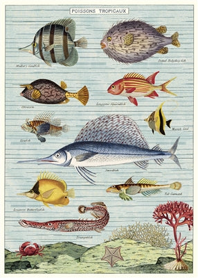 Poster Print A-L