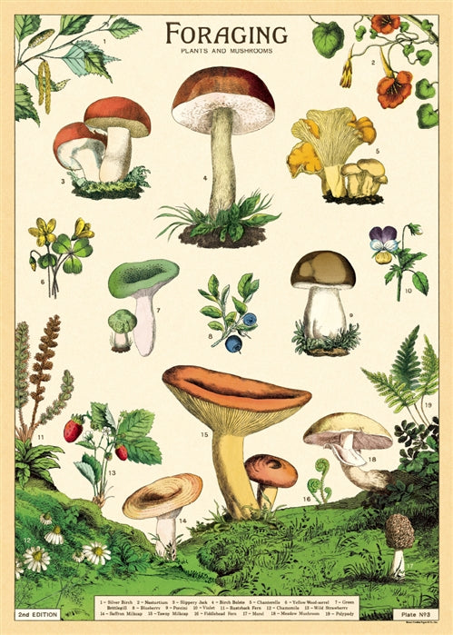 Poster Print M-Z