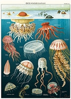 Poster Print A-L