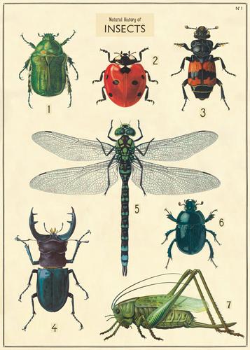 Poster Print M-Z